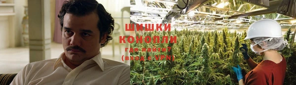 прущие грибы Россошь