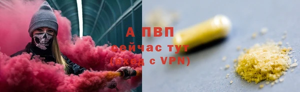 прущие грибы Россошь