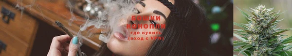 ГАЛЛЮЦИНОГЕННЫЕ ГРИБЫ Рославль